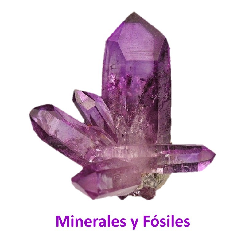 boton_minerales_y_fosiles